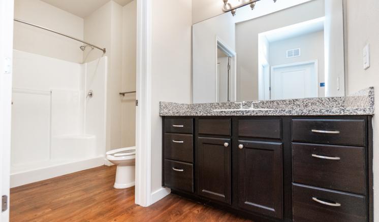 Centennial Bathroom Cent 4