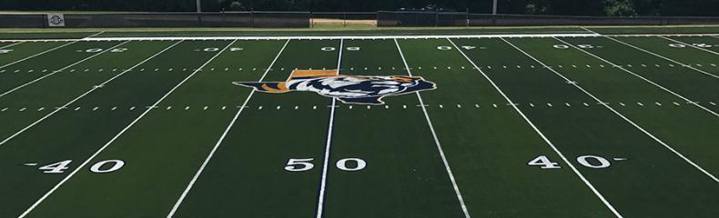 turf 2017
